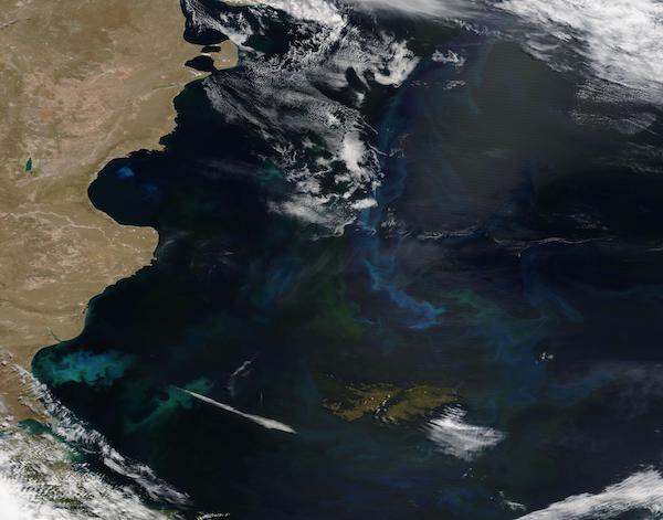 Phytoplankton Blooms off South America