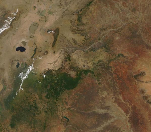 Ethiopia (Bale Mts)
