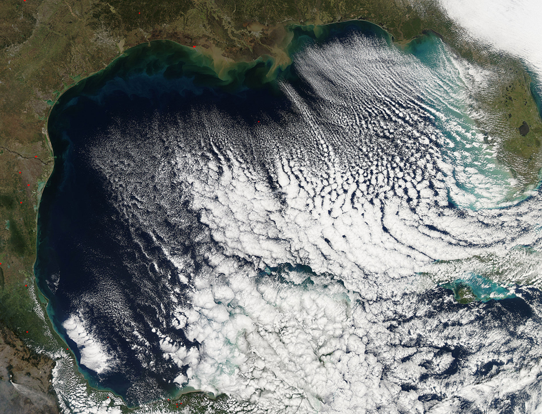 Sediment and cloud streets in the Gulf of Mexico