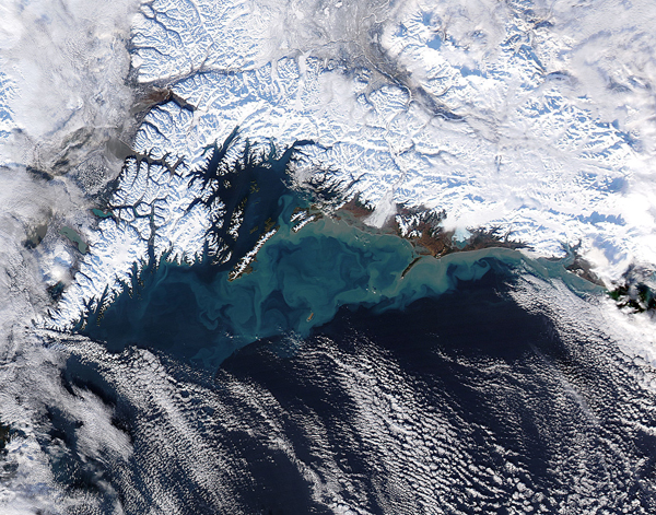 Sediment off southern Alaska