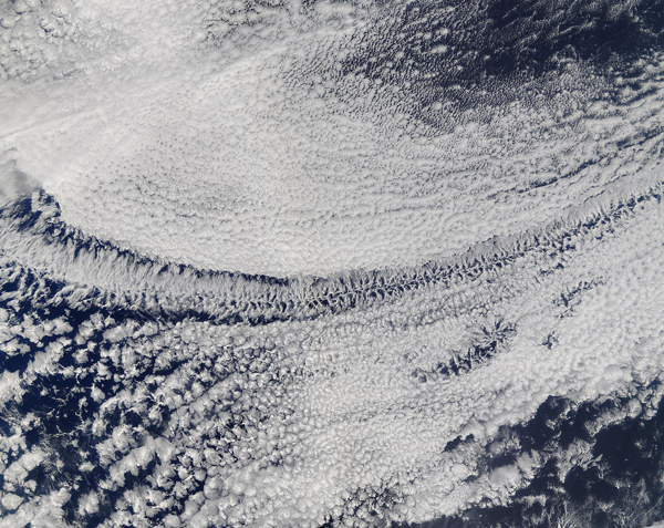 Open-cell and closed-cell clouds, Pacific Ocean