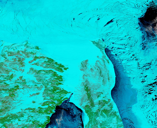 Sea Ice in the Gulf of Sakalhin and the Tartar Strait