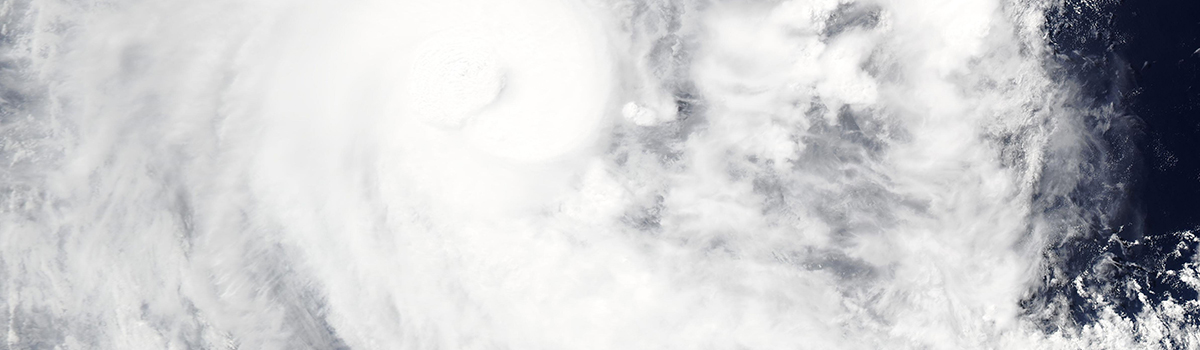 Tropical Cyclone Herman
