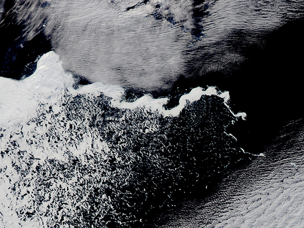 "River" of sea ice in the Weddell Sea