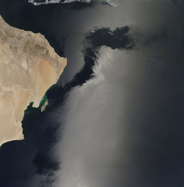 Wind patterns in sun glint on the Arabian Sea