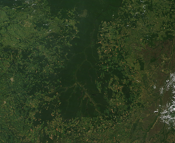  Deforestation around Xingu National Park in Brazil