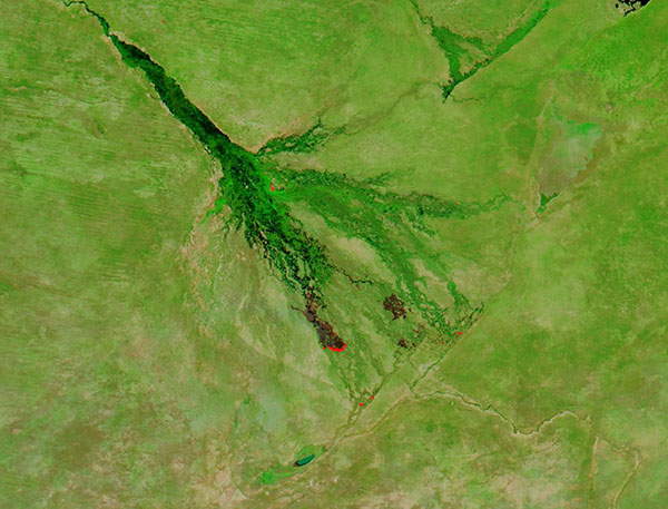 Burn Scars in Okavango Delta