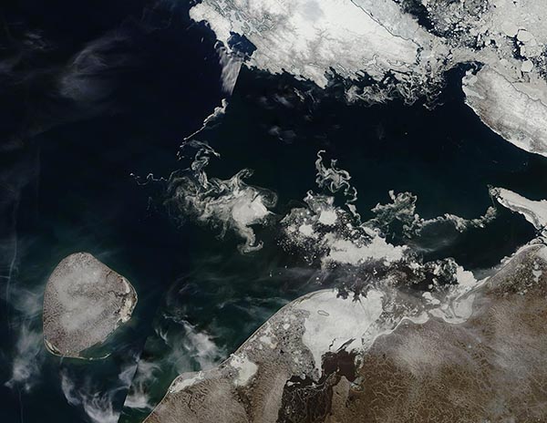 Sea Ice in the Barents Sea, Kolguyev Island, Novaya Zemlya