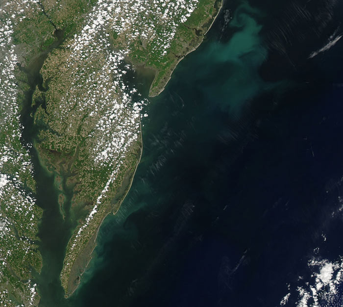 Phytoplankton bloom off the Mid-Atlantic