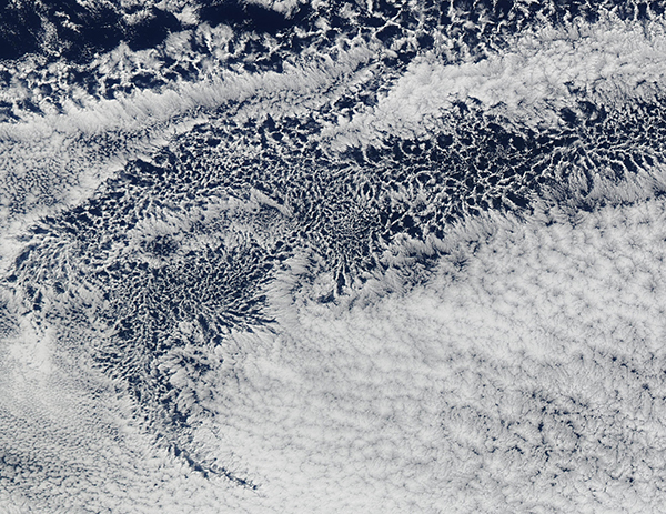 Open and Closed-Cell clouds in the Pacific Ocean