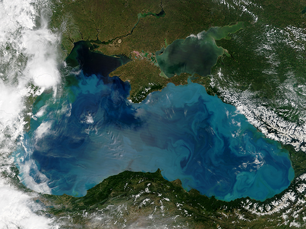 Phytoplankon blooms in the Black Sea