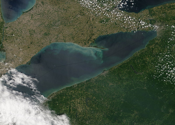 Phytoplankton bloom in Lake Erie