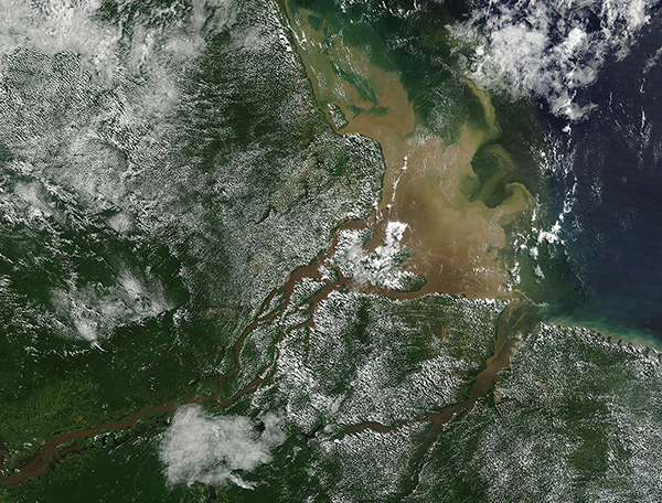 Amazon River Delta
