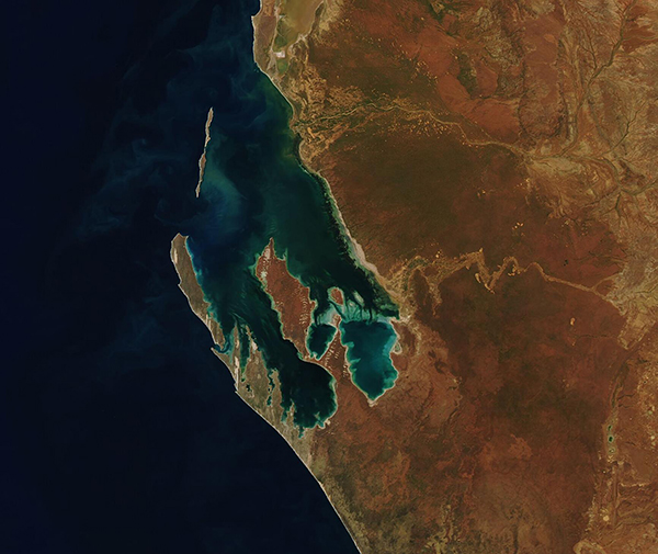 Shark Bay