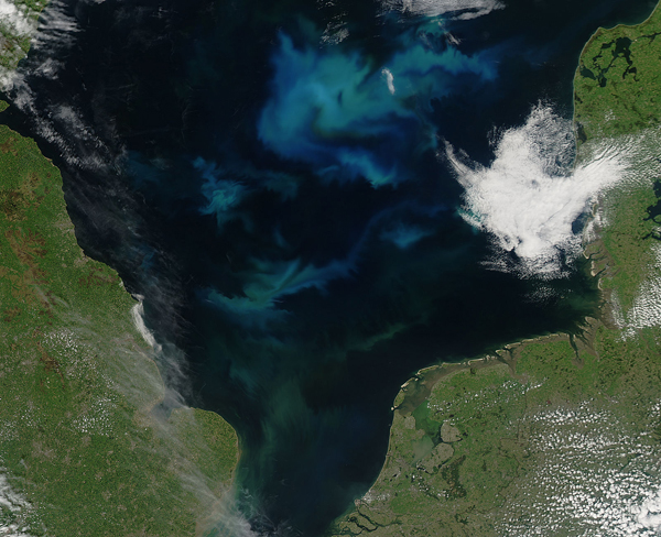 Phytoplankton bloom in the North Sea