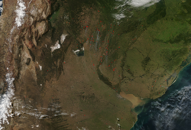 Fires in Uruguay and northern Argentina