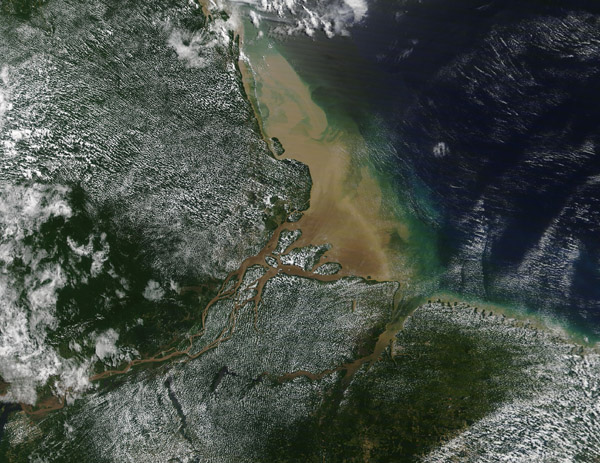 amazon river delta from space