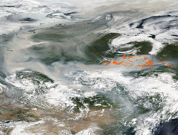 Siberian Fires Now Larger Than All Others Combined