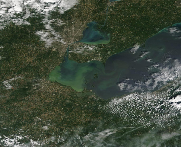 Algal Bloom in Lake Erie
