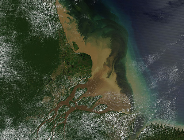 Amazon River Delta