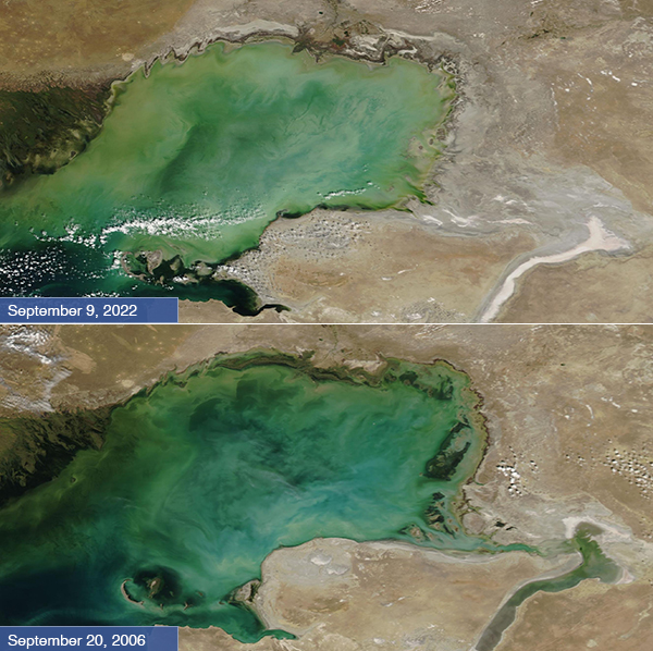 The Shrinking Coastline of the Caspian Sea