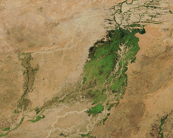 Greening in Mali
