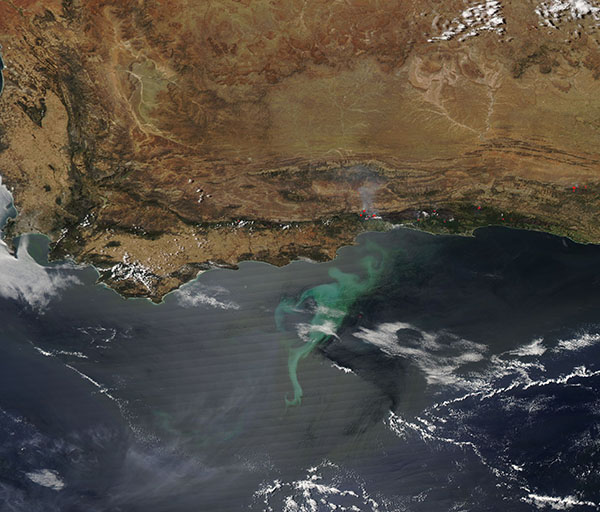 Phytoplankton bloom off South Africa