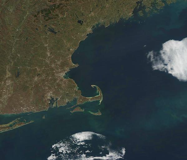 Phytoplankton Bloom off New England