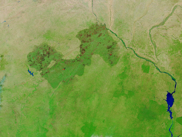 Fires and burn scars on the border between Niger and Benin
