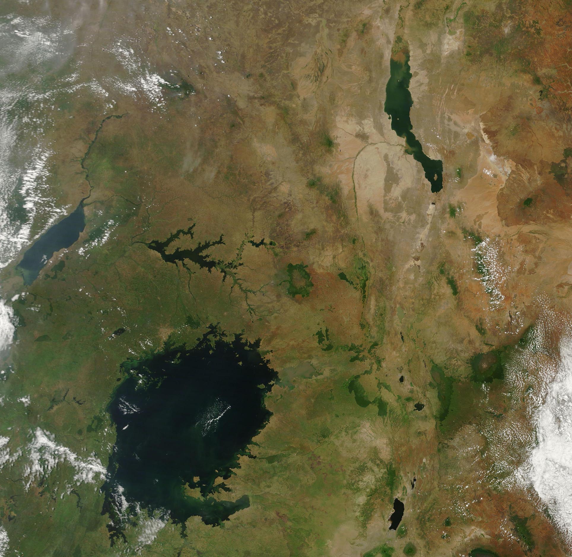 Озеро Виктория космический снимок